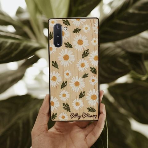 Cúc họa mi trắng