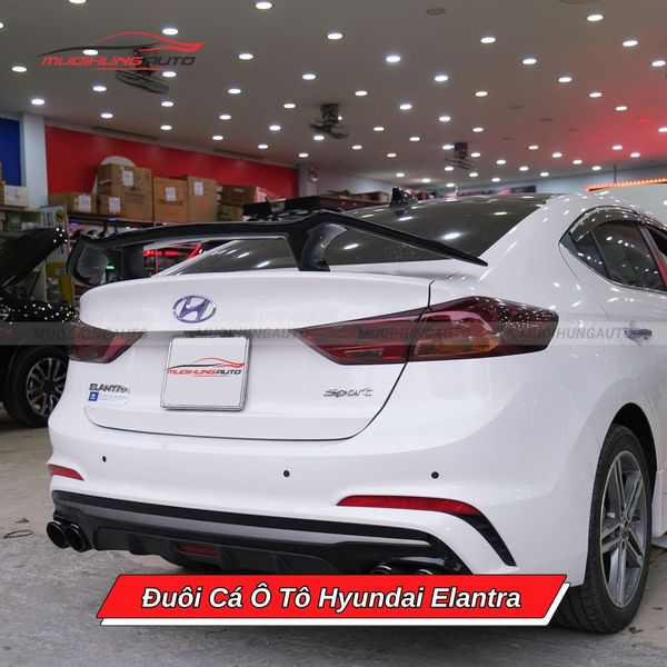 Đuôi Cá Ô Tô Hyundai Elantra