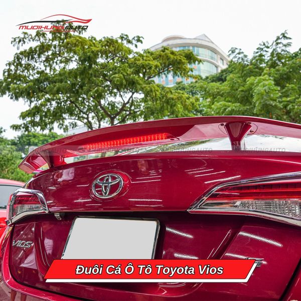 Đuôi Cá Ô Tô Toyota Vios