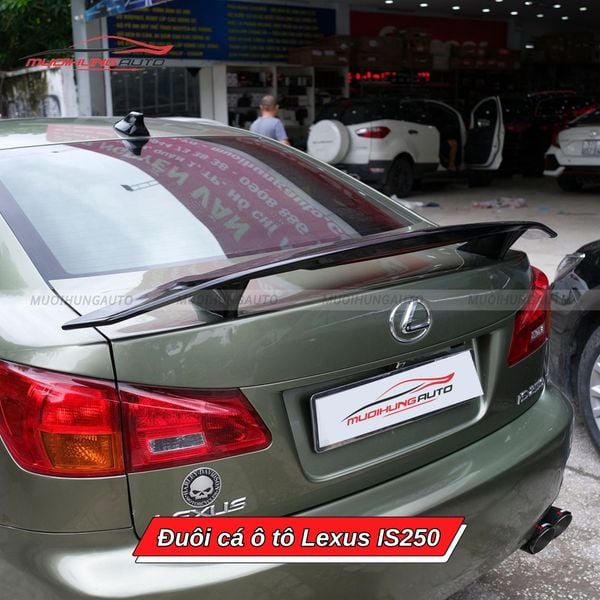 Đuôi Cá Ô Tô Lexus IS250