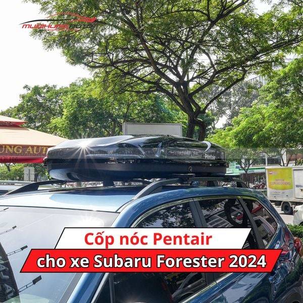 Cốp Nóc Pentair Cho Xe Subaru Forester 2024
