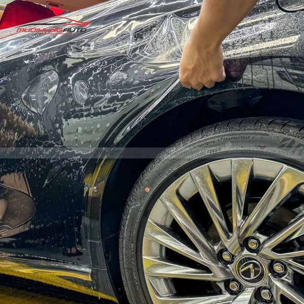 Dán PPF 3M Cho Xe Lexus ES300H 2024