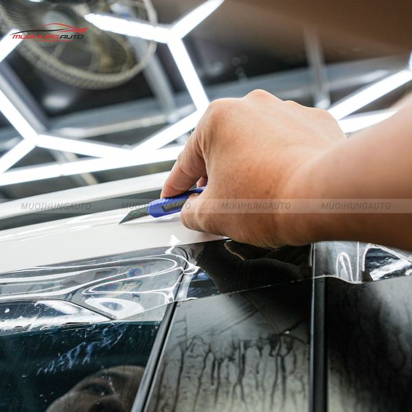 Dán PPF Ppro Plus Cho Xe Ford Everest 2024