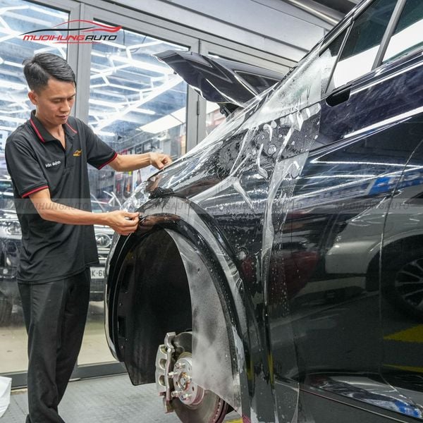 Dán PPF Ppro Plus cho xe Volkswagen Viloran 2024