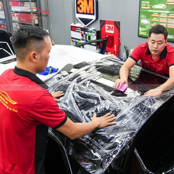 Dán PPF Ppro Plus cho xe Volkswagen Viloran 2024