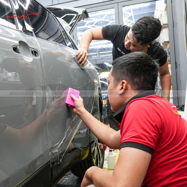 Dán PPF Zappa Cho Xe Toyota Corolla Cross 2024