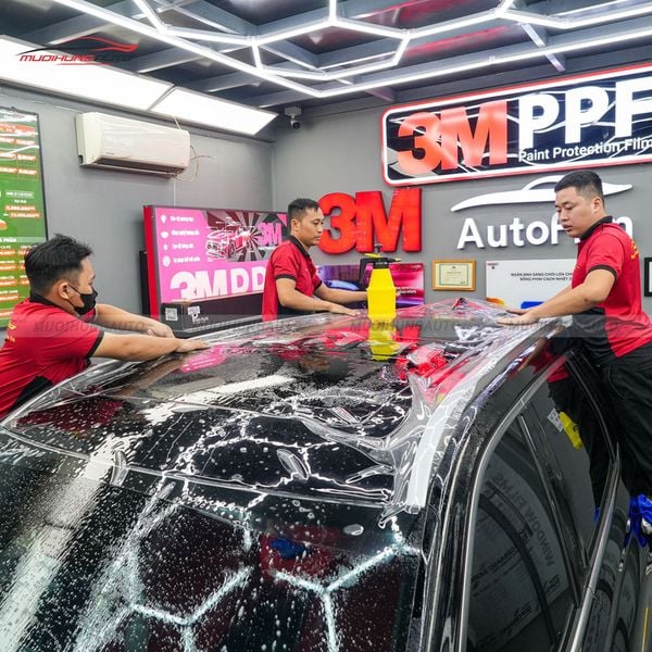 Dán PPF Zappa Cho Xe Hyundai Palisade 2024