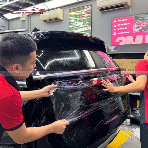 Dán PPF Zappa Cho Xe Kia Carnival 2025