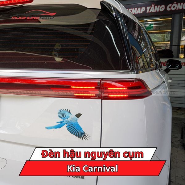 Đèn Hậu Nguyên Cụm Kia Carnival