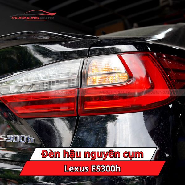 Đèn Hậu Nguyên Cụm Lexus ES300h