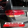 Đèn Hậu Nguyên Cụm Honda Odyssey
