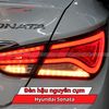 Đèn Hậu Nguyên Cụm Hyundai Sonata