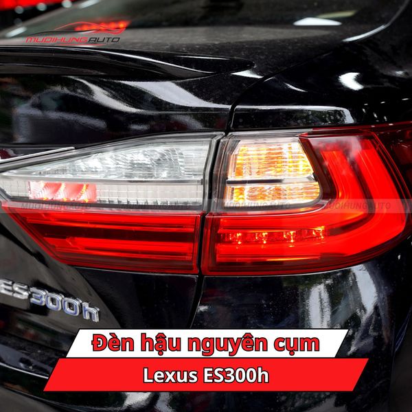 Đèn Hậu Nguyên Cụm Lexus ES300h