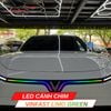 LED Cánh Chim Vinfast Limo Green