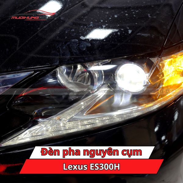 Đèn Pha Nguyên Cụm Lexus ES300H
