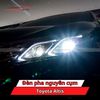 Đèn Pha Nguyên Cụm Toyota Altis