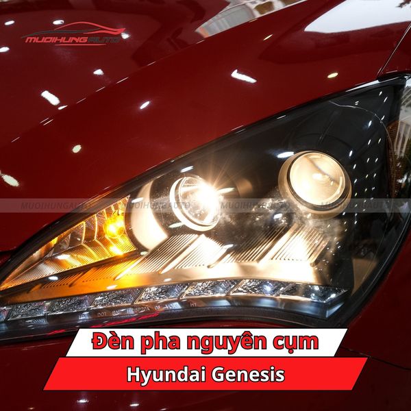 Đèn Pha Nguyên Cụm Hyundai Genesis