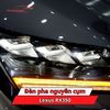 Đèn Pha Nguyên Cụm Lexus RX350