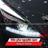 Đèn Pha Nguyên Cụm Nissan Teana