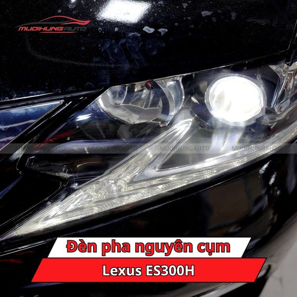 Đèn Pha Nguyên Cụm Lexus ES300H