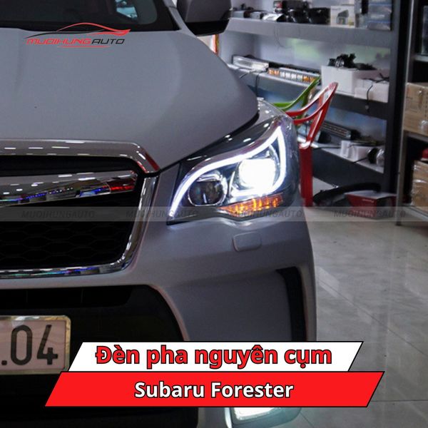Đèn Pha Nguyên Cụm Subaru Forester