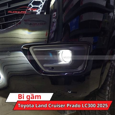 Bi gầm Toyota Land Cruiser Prado LC300 2025