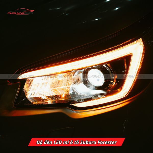 Độ Đèn LED Mí Ô Tô Subaru Forester