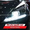 Đèn Pha Nguyên Cụm Nissan Teana