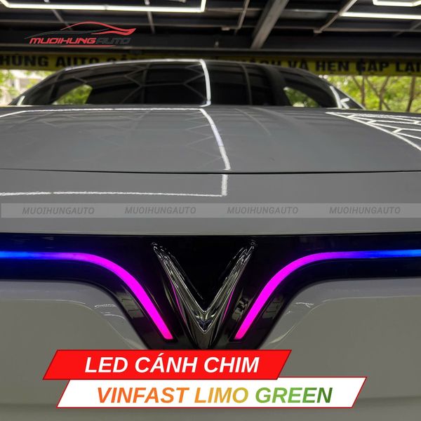 LED Cánh Chim Vinfast Limo Green