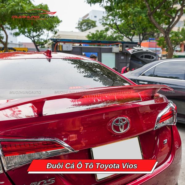 Đuôi Cá Ô Tô Toyota Vios