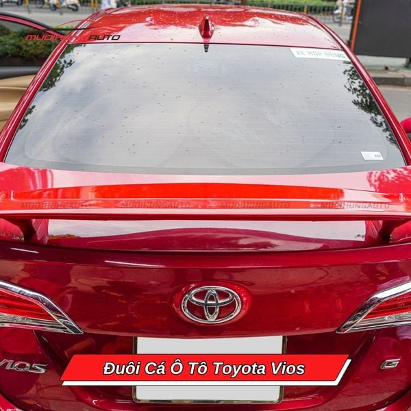 Đuôi Cá Ô Tô Toyota Vios
