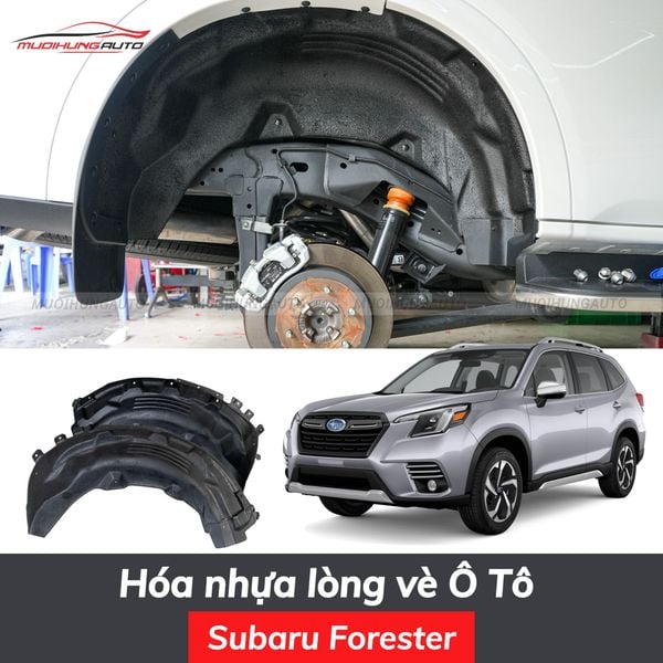 Hóa Nhựa Lòng Vè Ô Tô Subaru Forester