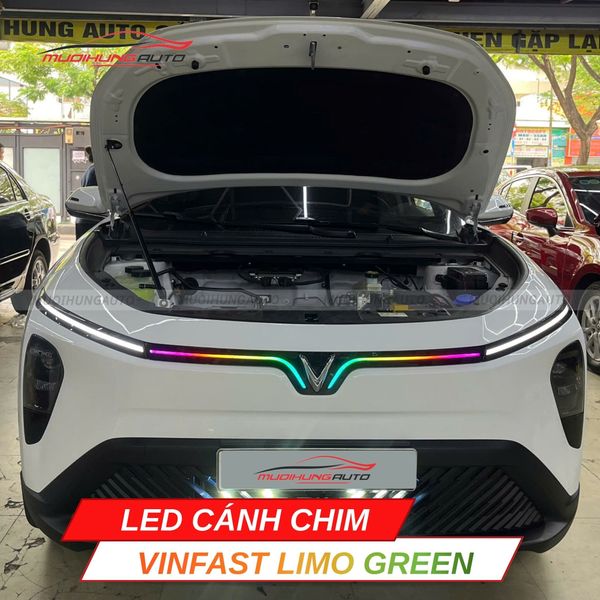 LED Cánh Chim Vinfast Limo Green