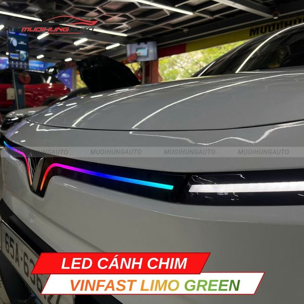 LED Cánh Chim Vinfast Limo Green