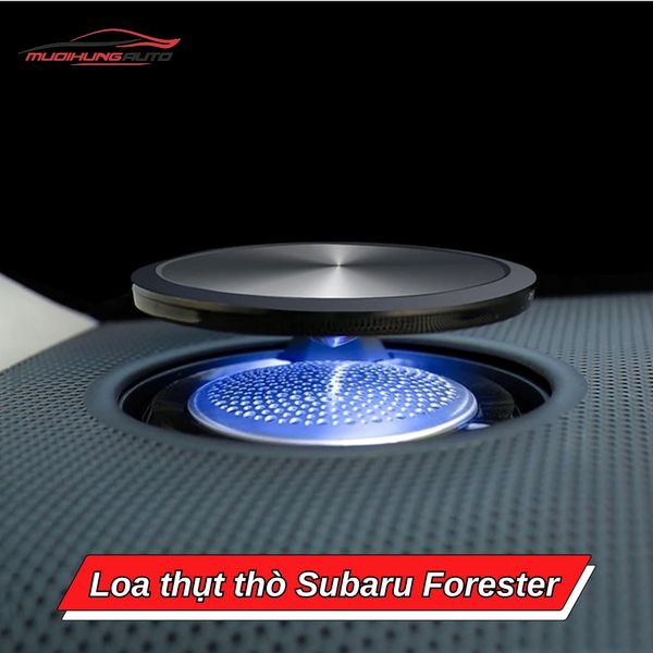 Loa Thụt Thò Subaru Forester