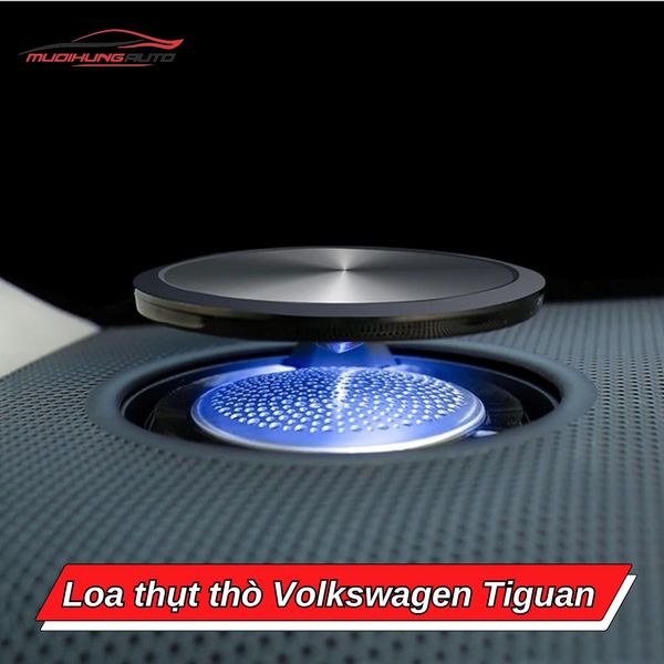 Loa Thụt Thò Volkswagen Tiguan
