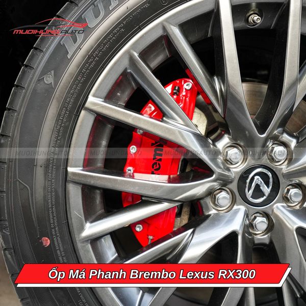 Ốp Má Phanh Brembo Lexus RX300