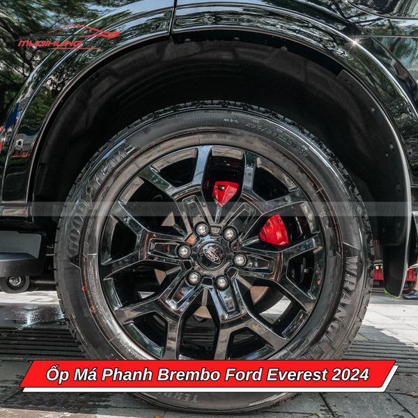 Ốp Má Phanh Brembo Ford Everest 2024