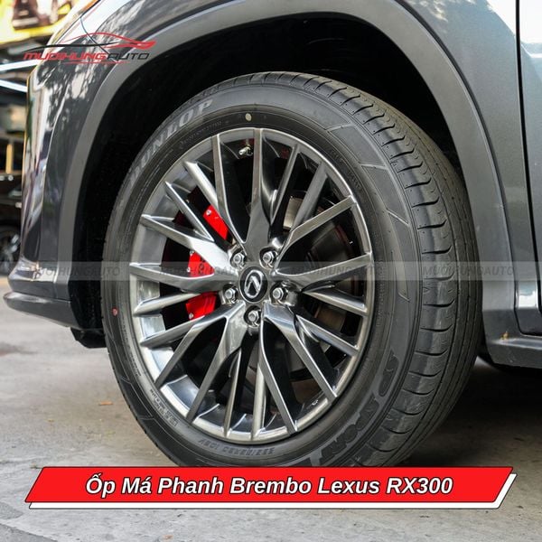 Ốp Má Phanh Brembo Lexus RX300