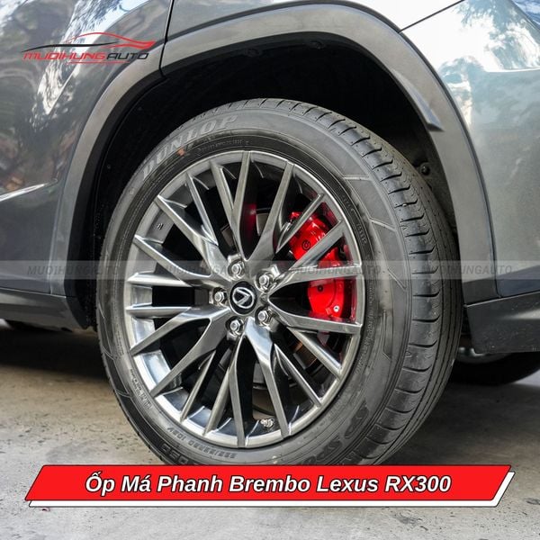 Ốp Má Phanh Brembo Lexus RX300