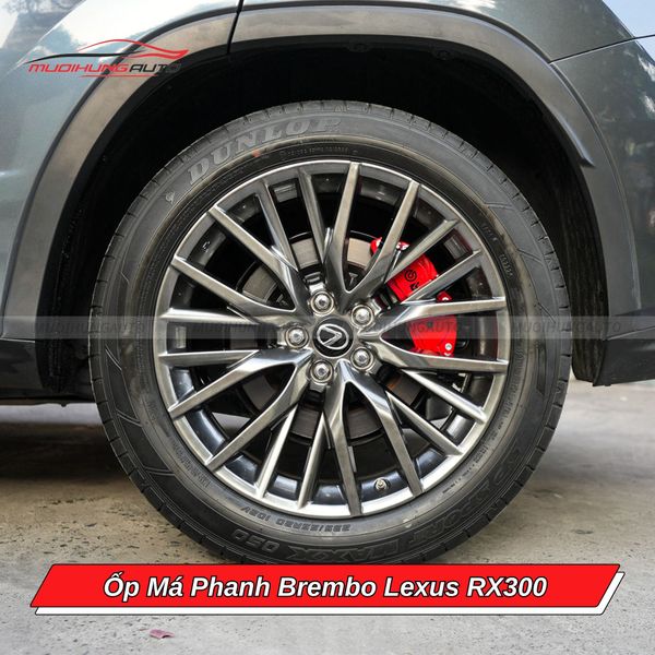 Ốp Má Phanh Brembo Lexus RX300