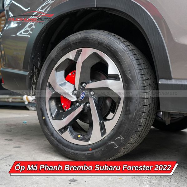 Ốp Má Phanh Brembo Subaru Forester 2022