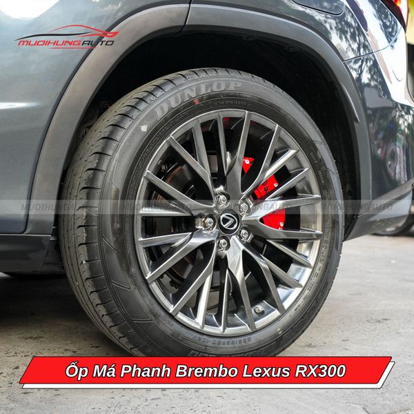 Ốp Má Phanh Brembo Lexus RX300