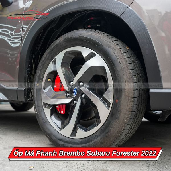 Ốp Má Phanh Brembo Subaru Forester 2022