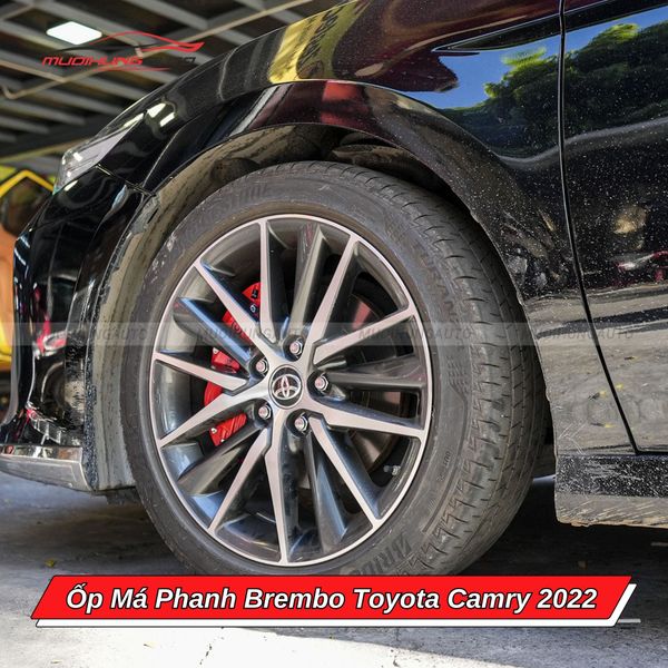 Ốp Má Phanh Brembo Toyota Camry 2022