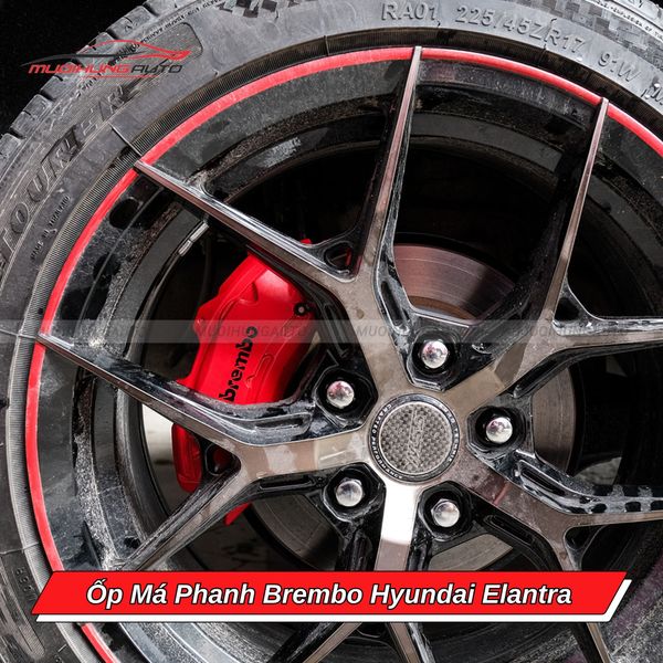 Ốp Má Phanh Brembo Hyundai Elantra