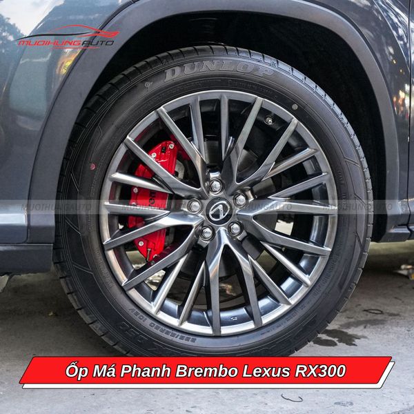 Ốp Má Phanh Brembo Lexus RX300