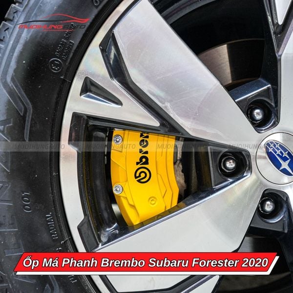 Ốp Má Phanh Brembo Subaru Forester 2020