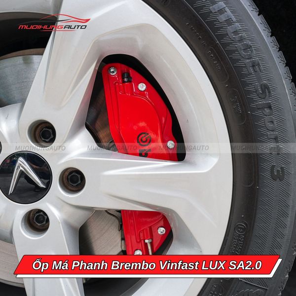 Ốp Má Phanh Brembo Vinfast LUX SA2.0