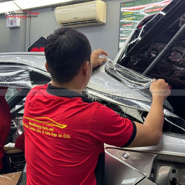 Dán PPF 3M Cho Xe Lexus RX350 2025